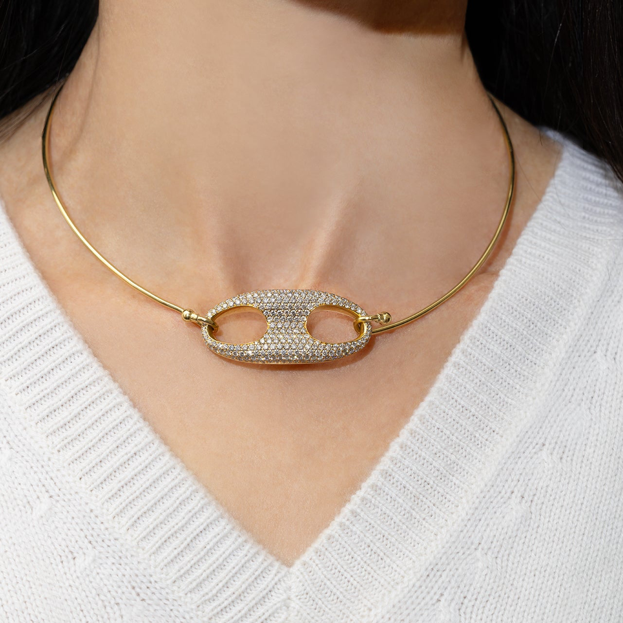 Interchangeable Collar