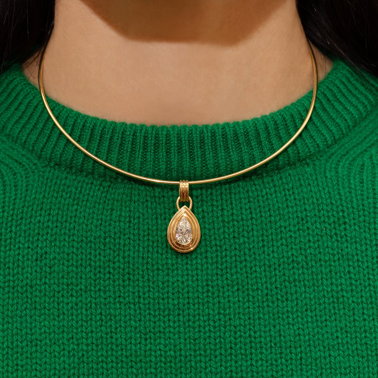 Interchangeable Collar