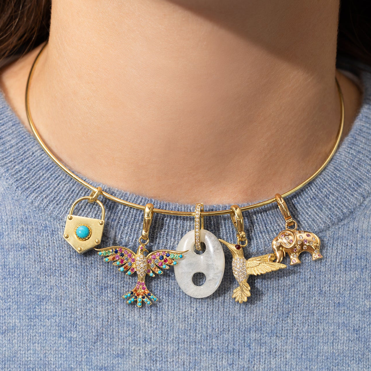 Interchangeable Collar