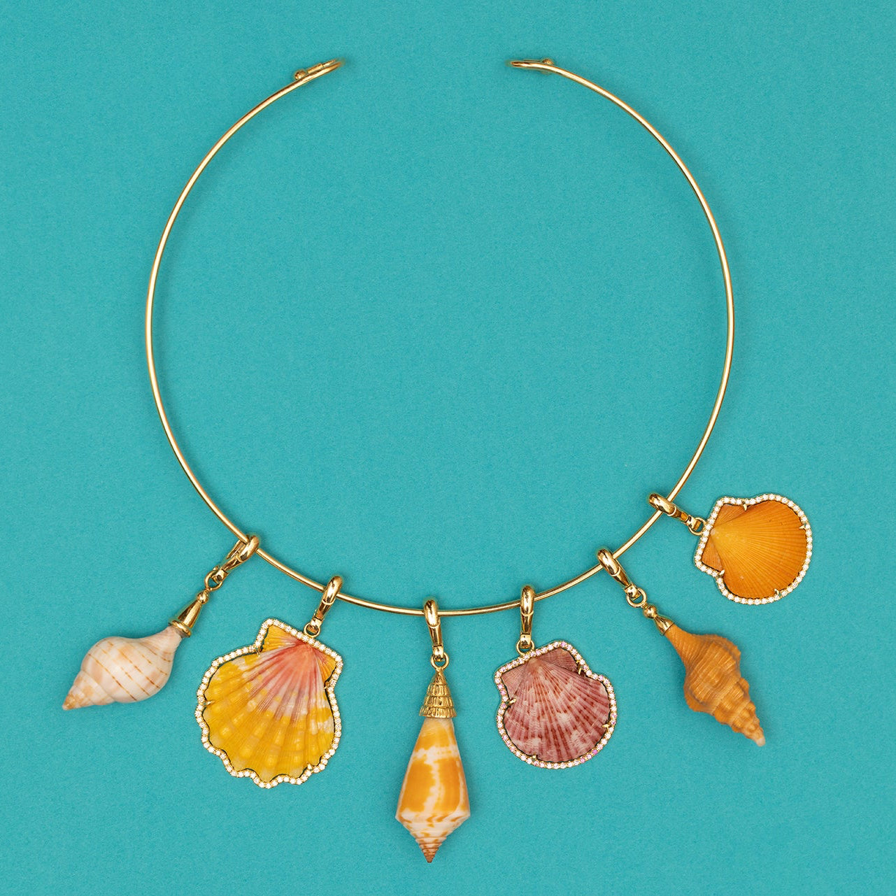 Interchangeable Collar