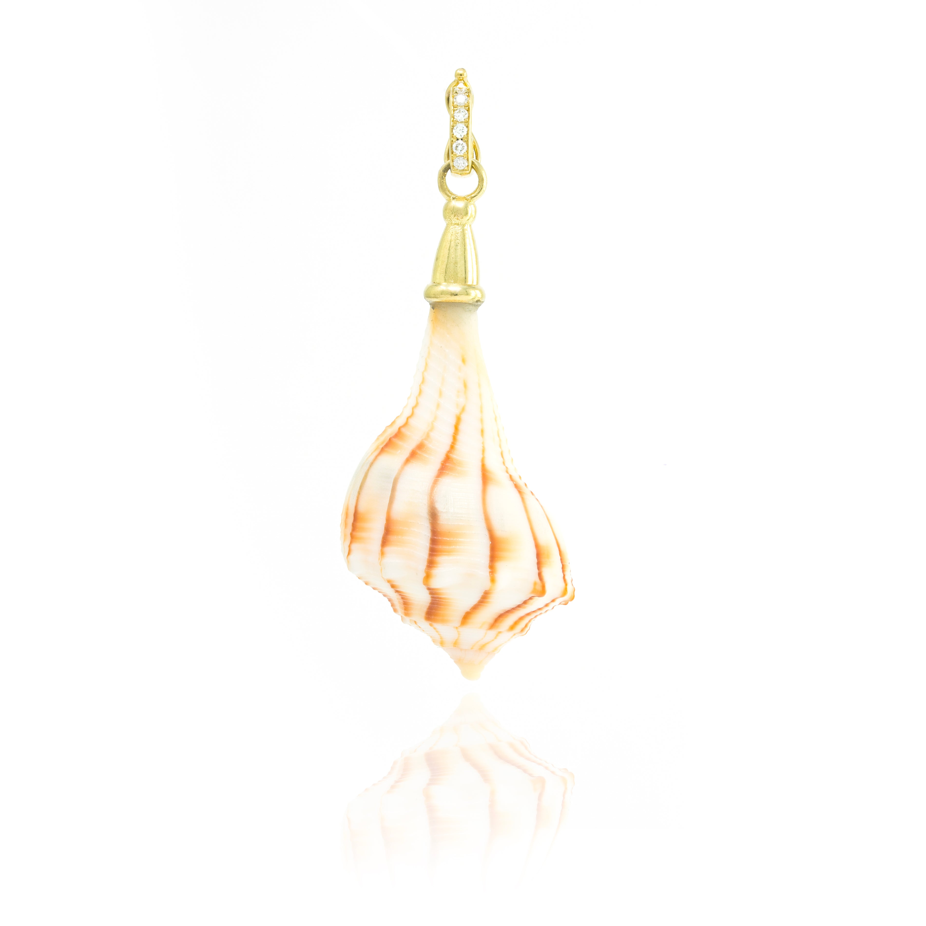 Shell with Gold Cap Charm
