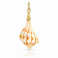 Shell with Cap Charm