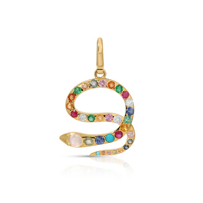 Multicolored Snake Charm