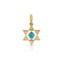 Star of David Charm
