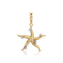 Diamond Starfish