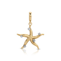 Diamond Starfish