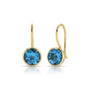 Monacle Drop Earrings