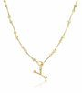 Skeleton Chain