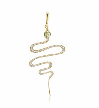 Zig Zag Snake Charm